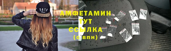 молекула духа Богородицк