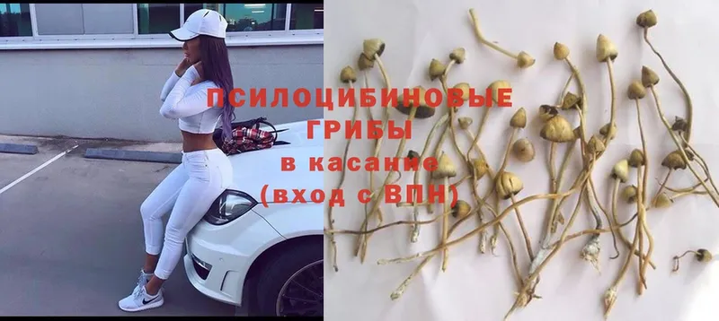 Псилоцибиновые грибы GOLDEN TEACHER  где купить   Ревда 